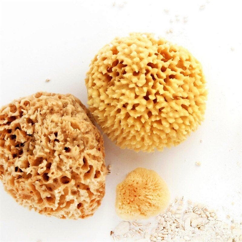 Natural Sea Sponge - Plastic Free Organic Sea Sponge